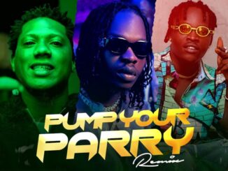 Abramsoul – Pump Your Parry (Remix) ft. Naira Marley, C Blvck