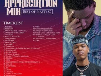 Download - Best of Nasty C Dj Mixtape (All 