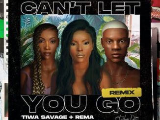 Stefflon Don – Cant Let You Go (Remix) ft Rema & Tiwa Savage Download