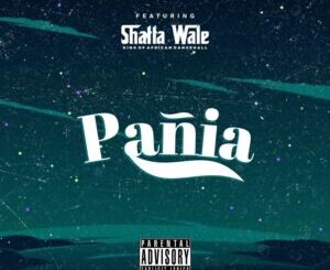 Download Song: Shatta Wale – Pania mp3 