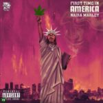 Download: Naira Marley – First Time In America MP3 