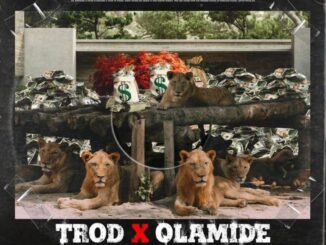 Download Song: Trod Ft. Olamide – Shey You Fit Go? Mp3