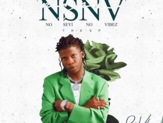Album: Seyi Vibez – NSNV (No Seyi No Vibez)