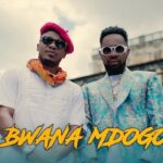 Video Mp4: Alikiba – Bwana Mdogo ft. Patoranking