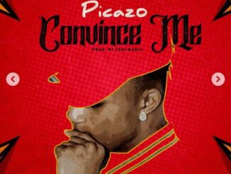 Download Picazo – Convince Me MP3