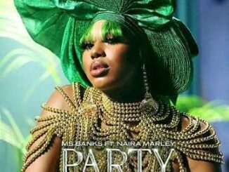 Download Ms Banks – Party Ft. Naira Marley MP3