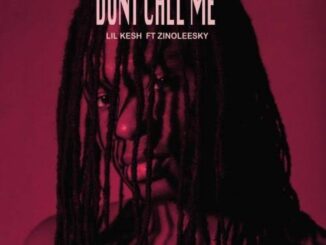 Download: Lil Kesh – Don’t Call Me ft. Zinoleesky MP3