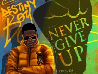 Download: Destiny Boy – Never Give Up Mp3