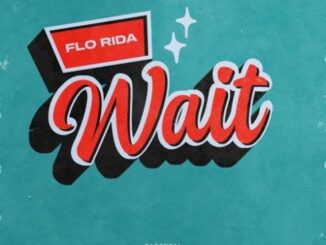 Download: Flo Rida – Wait MP3