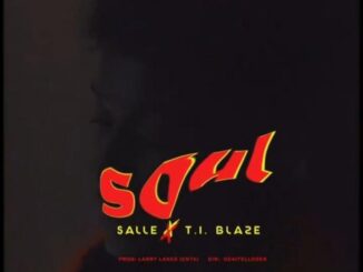 Download: Salle & T.I Blaze – Soul Mp3