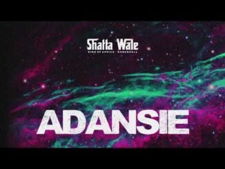 Download: Shatta Wale – Adansi3 (Testimony) Mp3