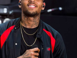 Lady who accused Chris Brown of raping her sent a text saying he's got 'the best d*ck she ever had' begs to see him (audio)