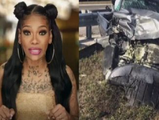 'Love And Hip-Hop' Star, Apple Watts' reportedly on Life Support following serious car accident