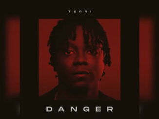 Download: Terri – Danger Mp3
