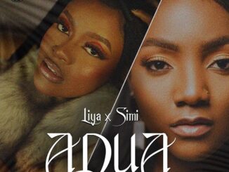 Download: Liya – Adura Remix Ft Simi Mp3