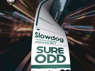 Slowdog – Sure Odd Mp3 Download