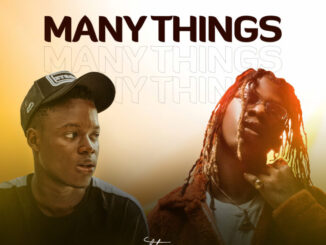 Download: Zhips – Many Thing Ft. Seyi Vibez Mp3