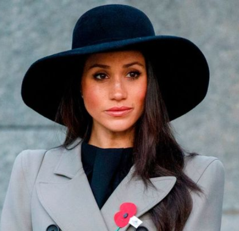 Netflix removes Meghan Markle’s new animated series which she hailed as ‘special’