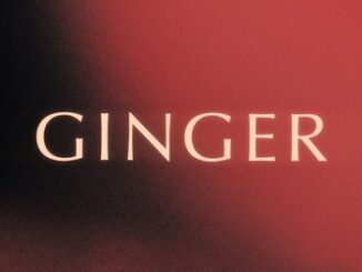Download: King Promise – Ginger MP3