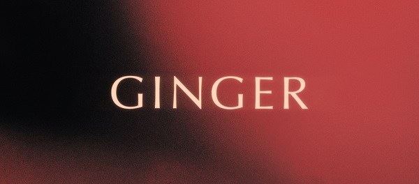 Download: King Promise – Ginger MP3