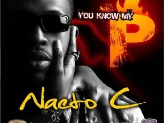 Download NAETO C -THIS IS WHAT I DO Mp3