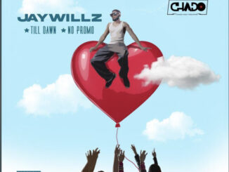 Download: Jaywillz – No Promo MP3