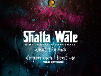 Download: Shatta Wale – What Do You Know About Me MP3