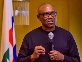I prefer a younger, competent vice presidential running mate - Peter Obi