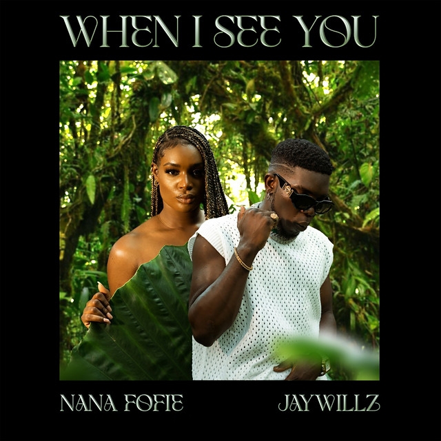 Download: Nana Fofie – When I See You Ft Jaywillz MP3