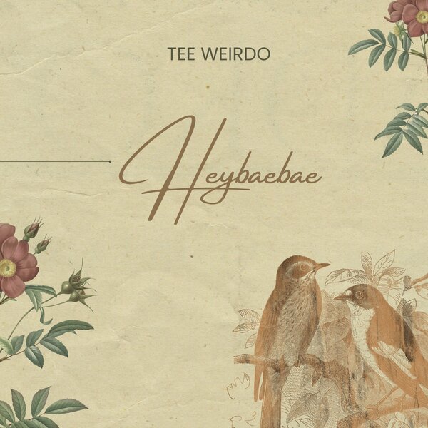 Download: Tee Weirdo – Heybaebae MP3