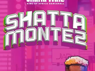 Download: Shatta Wale – Shatta Montez Mp3